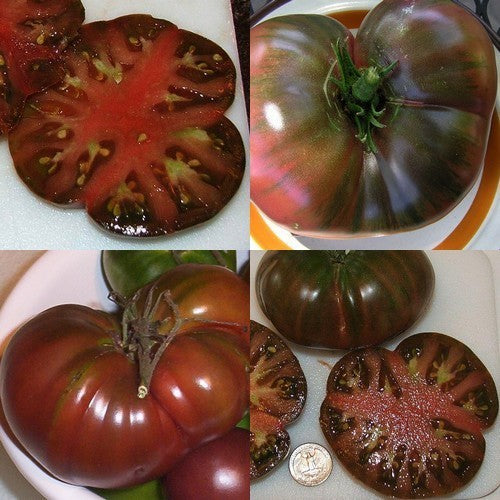 Beef tomato 'Black From Tula' / 'spudatula Black'