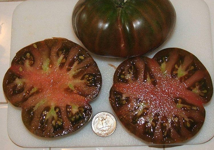 Beef tomato 'Black From Tula' / 'spudatula Black'