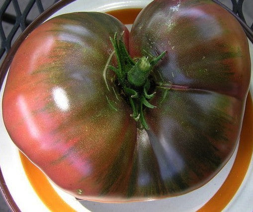 Beef tomato 'Black From Tula' / 'spudatula Black'