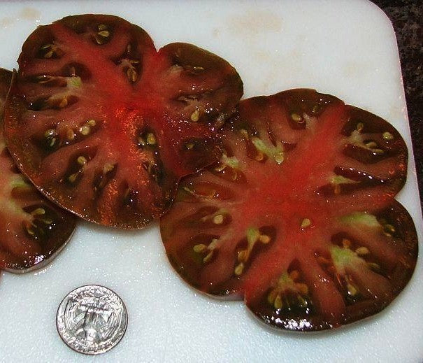 Beef tomato 'Black From Tula' / 'spudatula Black'