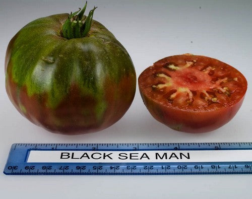 Beefsteak Tomato 'Black Seaman'