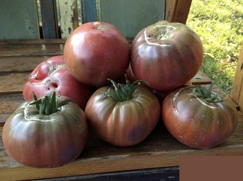 Vleestomaat 'Blue Fruit'