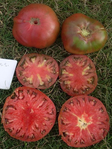 Vleestomaat 'Cherokee Purple'