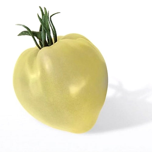 Vleestomaat 'Coeur de Boeuf Blanc' / 'Weisses Ochsenherz'