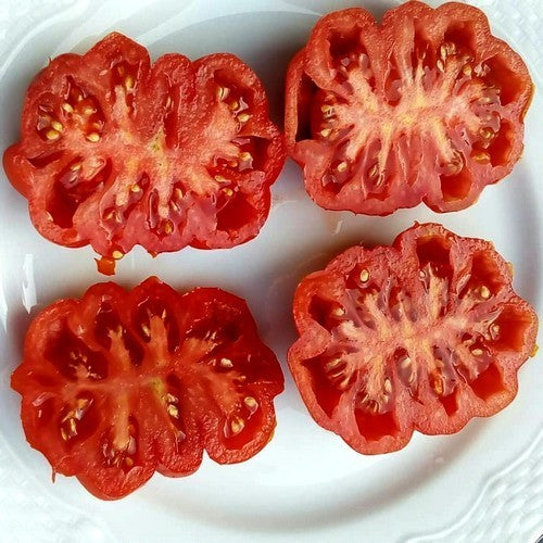 Vleestomaat 'Costoluto Genovese'