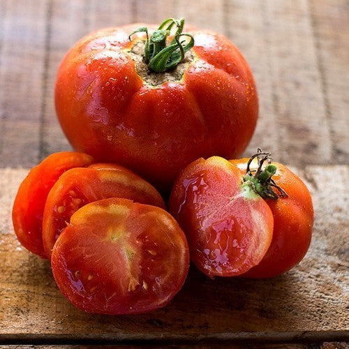 Vleestomaat 'Druzba' / 'Grosse Lisse' / 'Dicke Glatte' /
