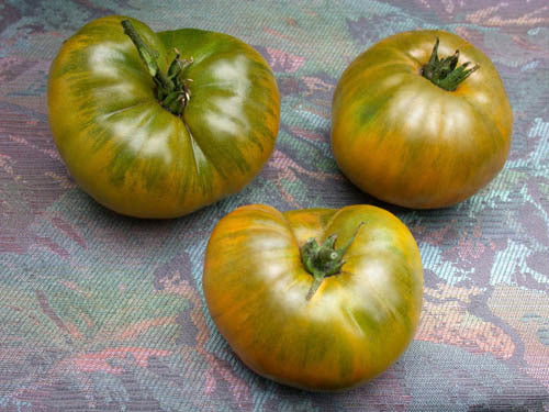 Beefsteak tomato 'Emerald Apple' / 'Izumrudnoje' / 'Lime Green'