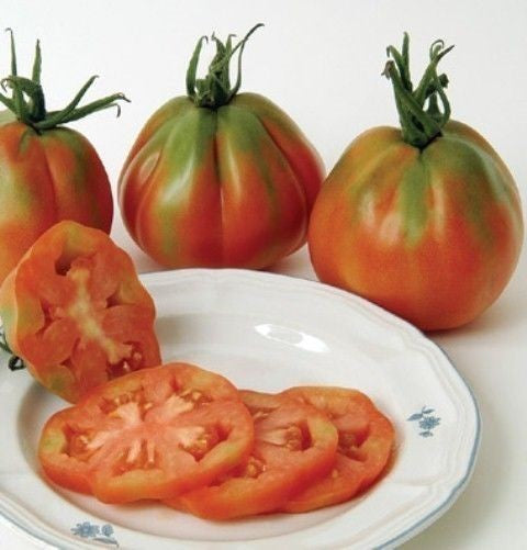 Vleestomaat 'Forma di Pera' / 'Red Pear Italian'