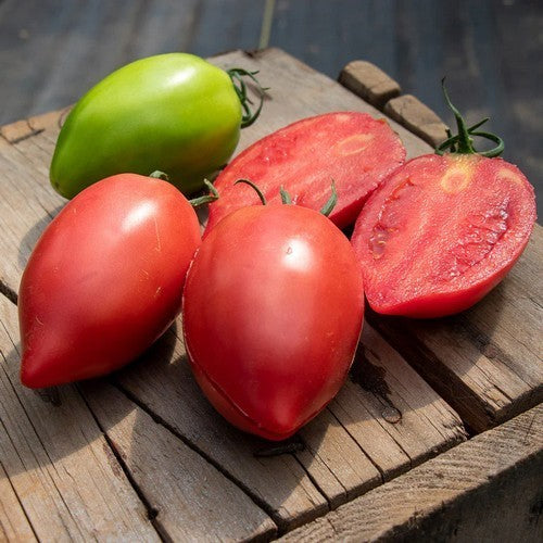 Beefsteak tomato 'Grandpa Cox' / 'Grandpa's Cok's Plum' / 'Grandpa