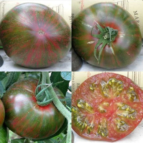 Vleestomaat 'Green Copia'