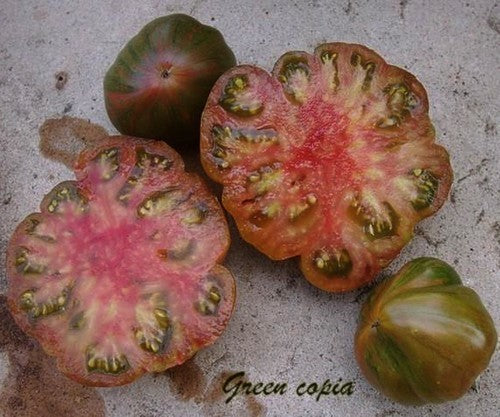 Vleestomaat 'Green Copia'