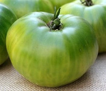 Beef tomato 'Green Giant'