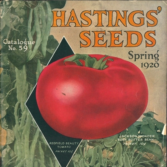 Vleestomaat 'Hastings Redfield Beauty'