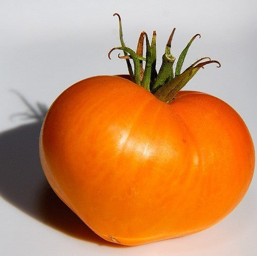Vleestomaat 'Heart of Orange'