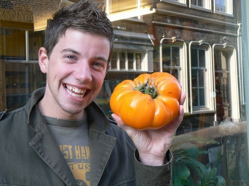 Vleestomaat 'Kellogg's Breakfast' / 'Orange Giant''