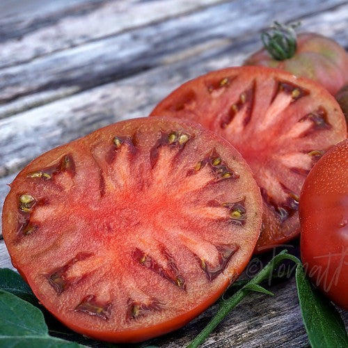 Vleestomaat 'Not Purple Strawberry'