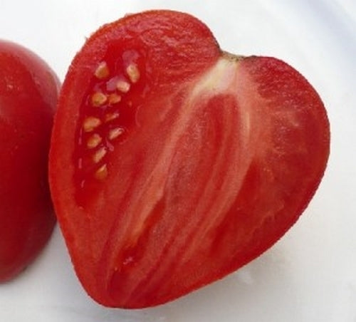 Beefsteak tomato 'Kosovo'