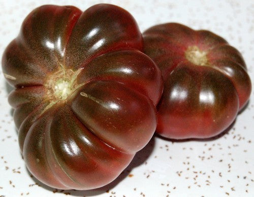 Vleestomaat 'Purple Calabash'