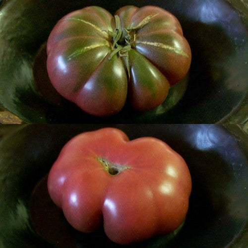 Vleestomaat 'Purple Calabash'