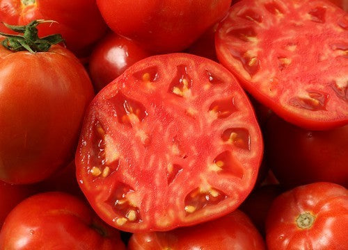 Beef tomato 'Roem van Mechelen' / 'Glorie van Mechelen'