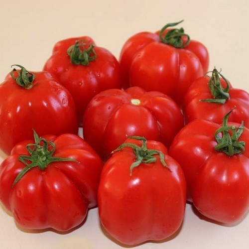 Vultomaat 'Stuffing Red'