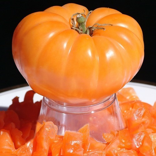 Beefsteak tomato 'Tobolsk Giant'