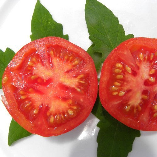 Beefsteak tomato 'Trèfle Du Togo'