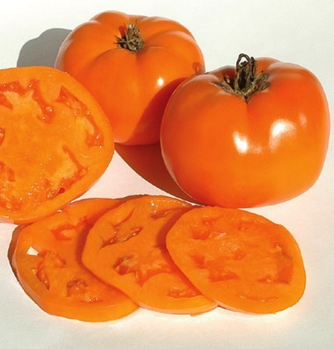 Vleestomaat 'Valencia'
