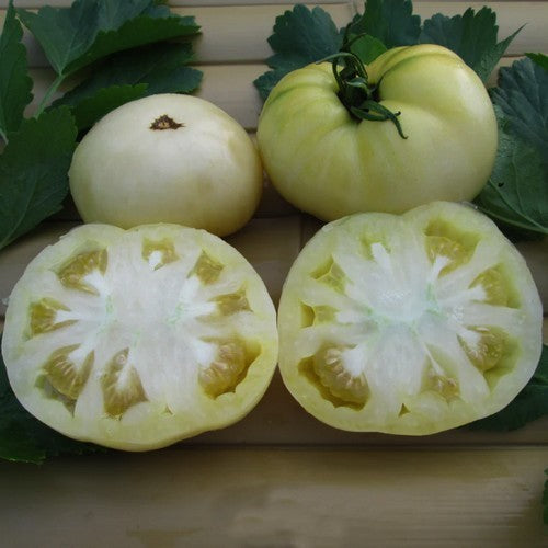 Beef tomato 'White Tomesol'