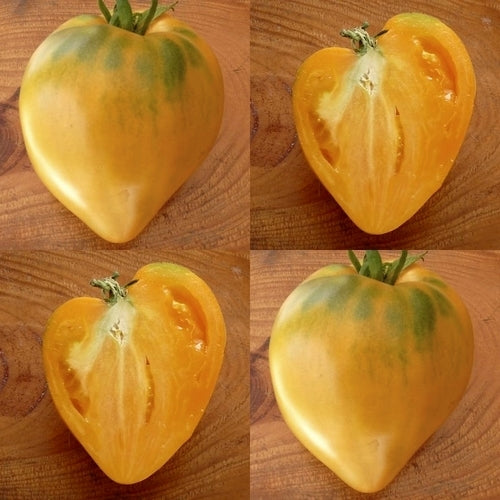 Vleestomaat 'Yellow Oxheart' / 'Coeur de Boeuf Jaune'