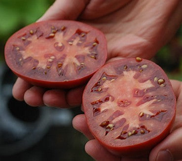 Vleestomaat 'Zwarte Krim' / 'Nero di Cremea' / 'Black Krim'