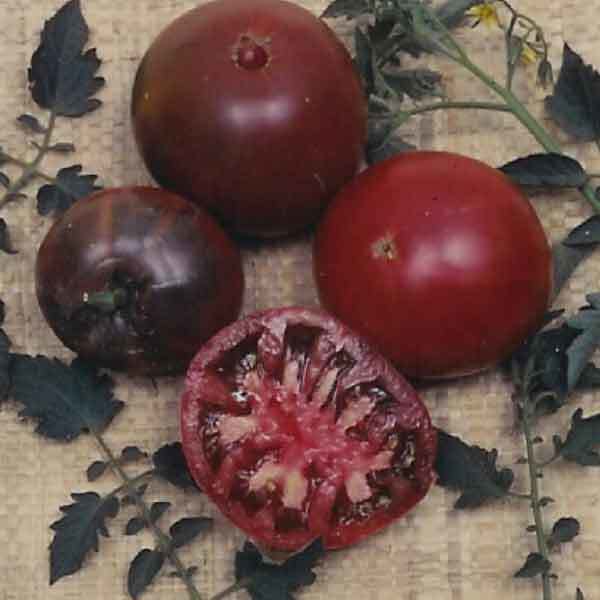 Vleestomaat 'Zwarte Krim' / 'Nero di Cremea' / 'Black Krim'