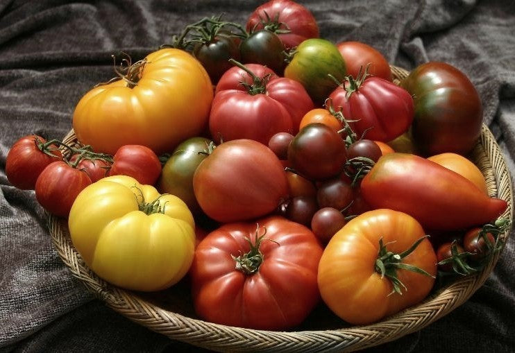 Heirloom Collectie 5 Schaarse variëteiten