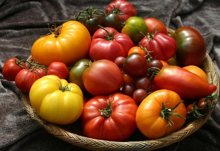 Heirloom Collectie 10 Schaarse variëteiten