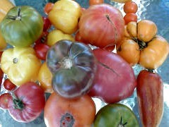 Heirloom Collectie 10 Schaarse variëteiten
