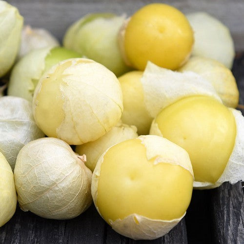 Tomatillo 'Amarylla'