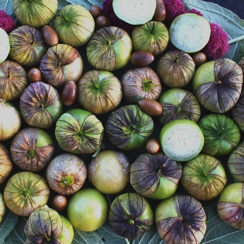 Tomatillo 'Apfelgeschmack'