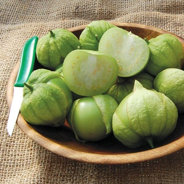 Tomatillo 'Lady Ayreen'
