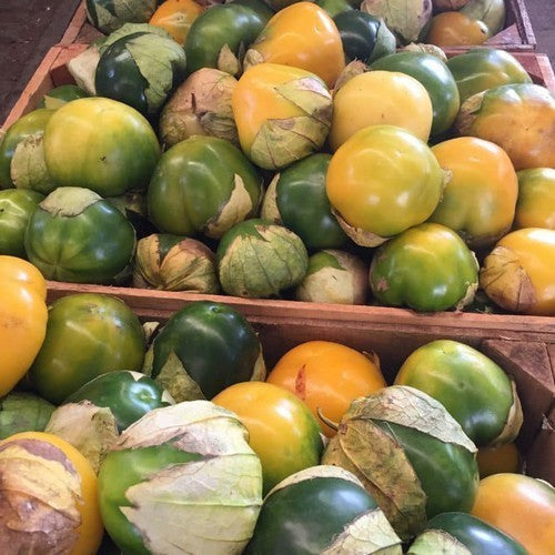 Tomatillo 'Manzano'
