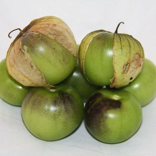 Tomatillo ‘Mramorrii’