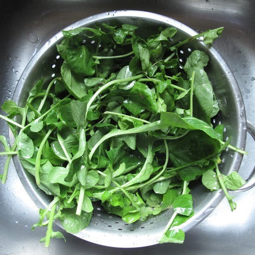 WinterKers