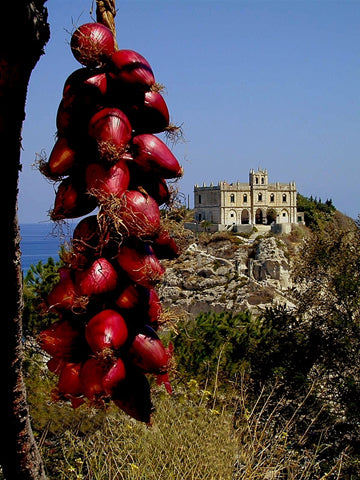 Grote Rode + Langwerpige Uien 'Dulce Lunga di Tropea' / 'Ros'