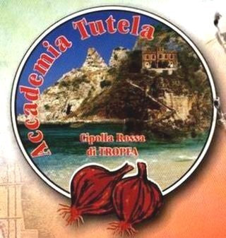 Grote Rode Uien 'Dulce Tonda di Tropea Record' / 'Tropea Ros'