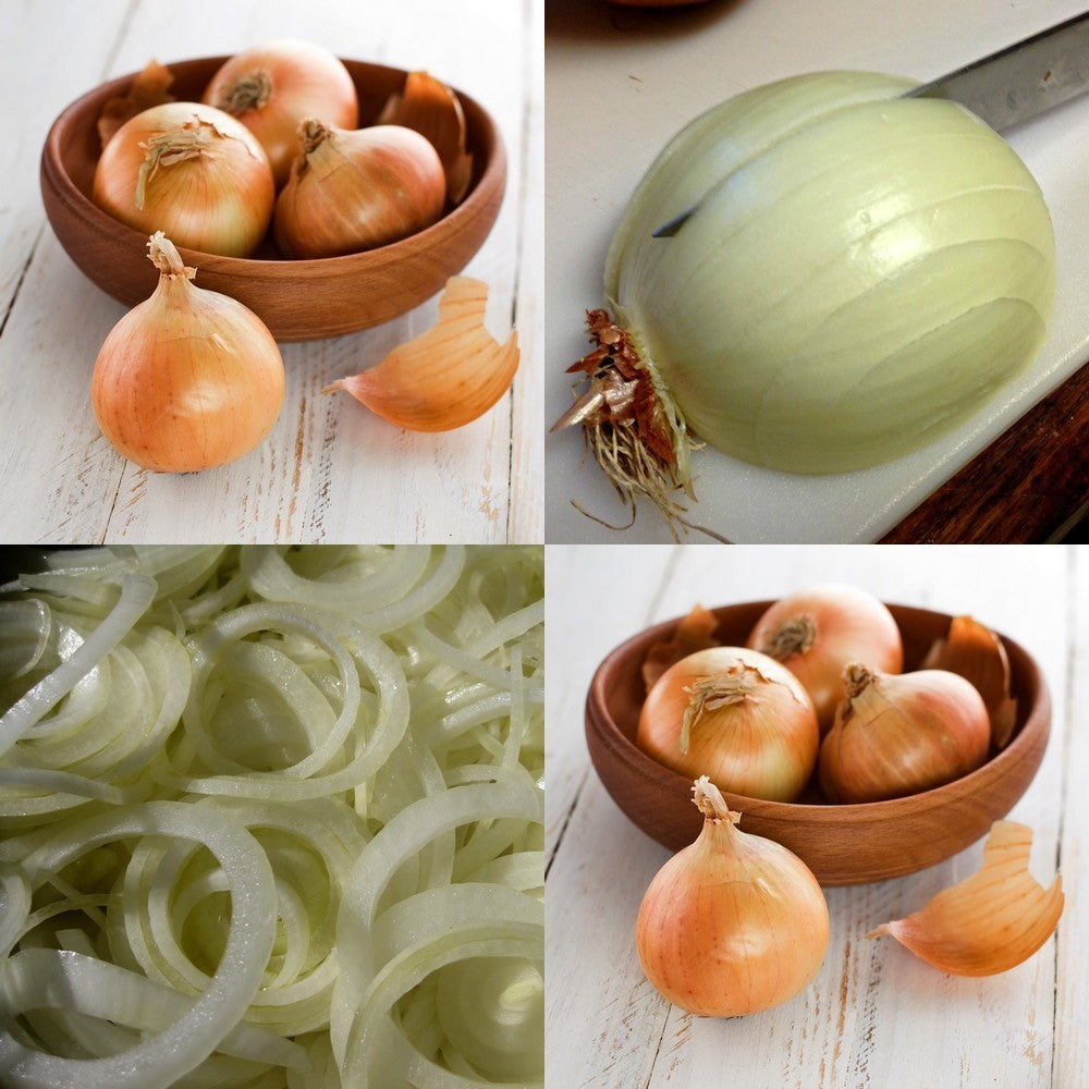Large Onions 'Rijnsburger' / 'Density'
