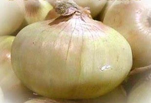 Grote Uien 'Walla Walla Sweet'