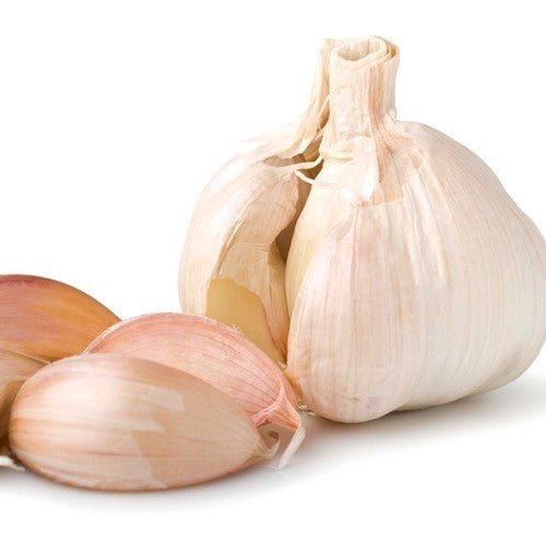 Garlic 'Flavor'