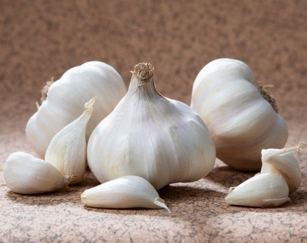 Knoflook 'Rustisem'