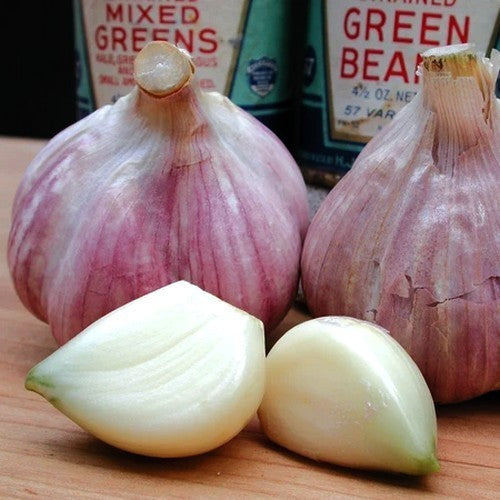 Spiral Garlic 'Bavarian Purple'