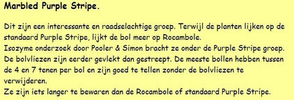 Spiraalknoflook 'Pskem'