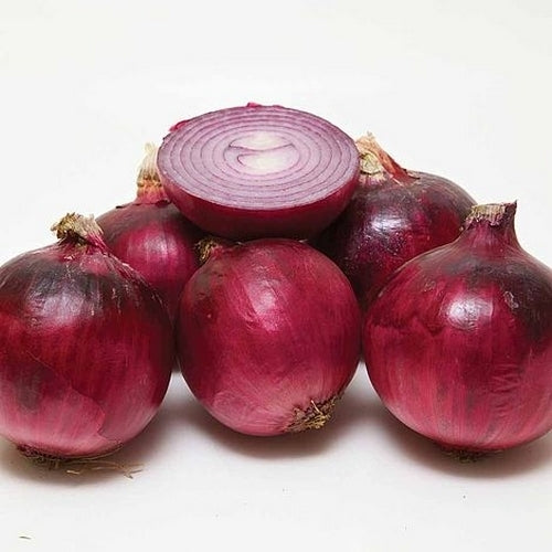 Red Overwintering Onion Sets 'Red Radiant' / 'Rote Winter'